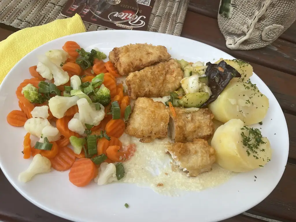 Hanka Červinková_The Old Bag Inn_Hrádek nad Nisou_review