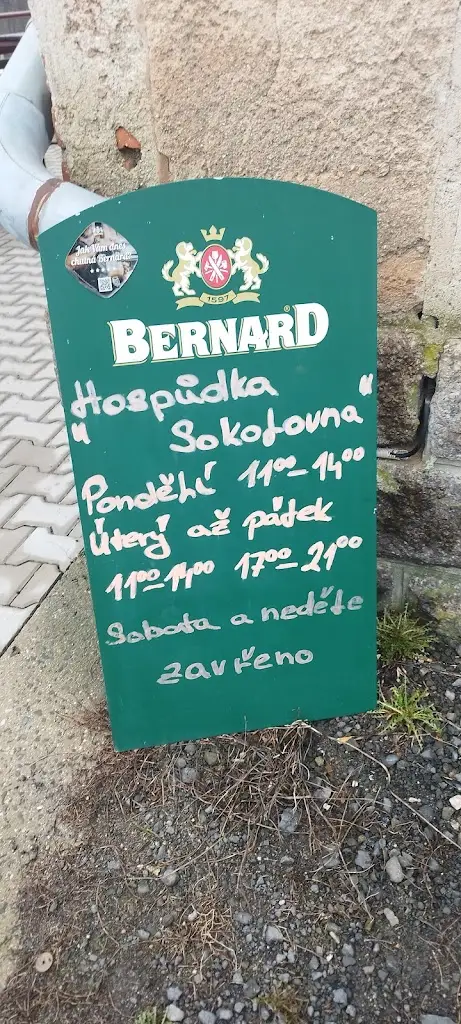 baborsky Jiri_Janovská sokolovna_Janov nad Nisou_review