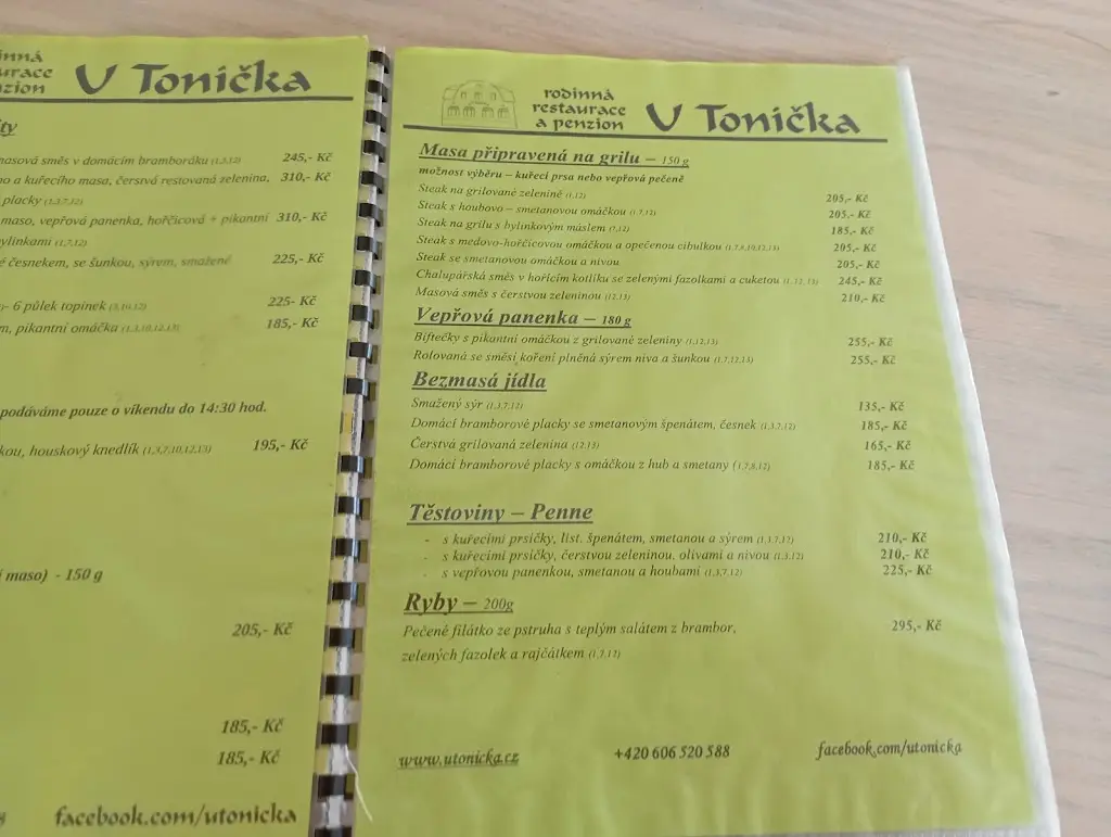 Menu_Restaurace a penzion U Toníčka - Jizerské hory_Janov nad Nisou_image_3