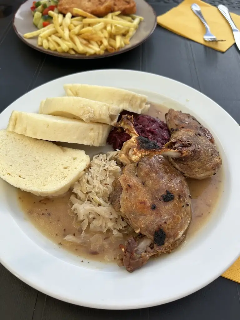 Menu_Hotel Na Pláži_Horní Planá_immagine_5