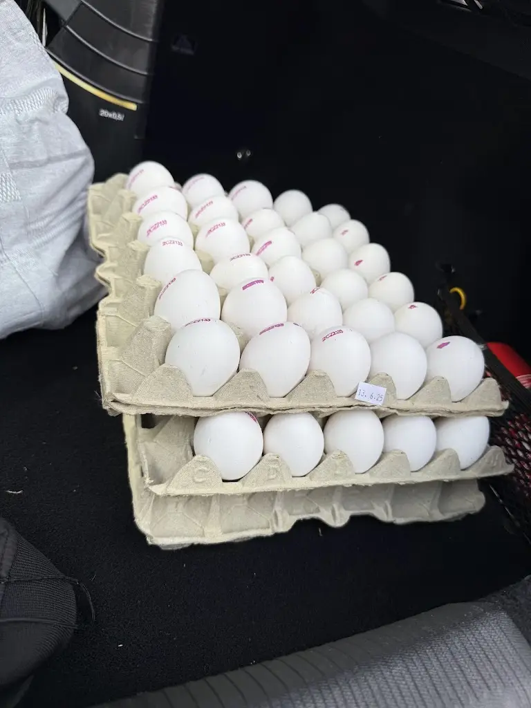 Drubéžárna - automat na vajíčka_Jablonné v Podještědí_slider_image_2