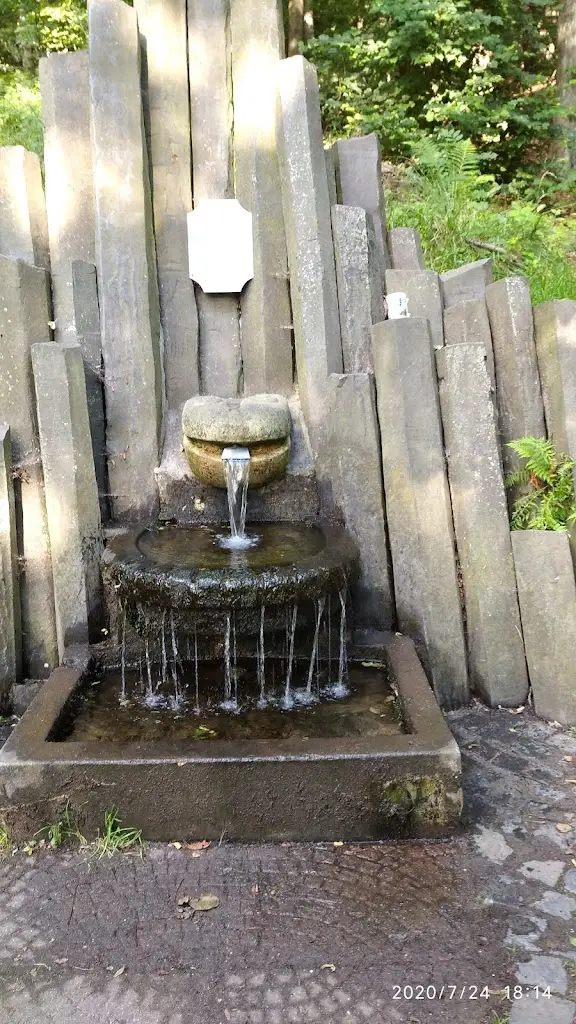 Radka Kočí_Zelená Hospůdka_Kamenický Šenov_review