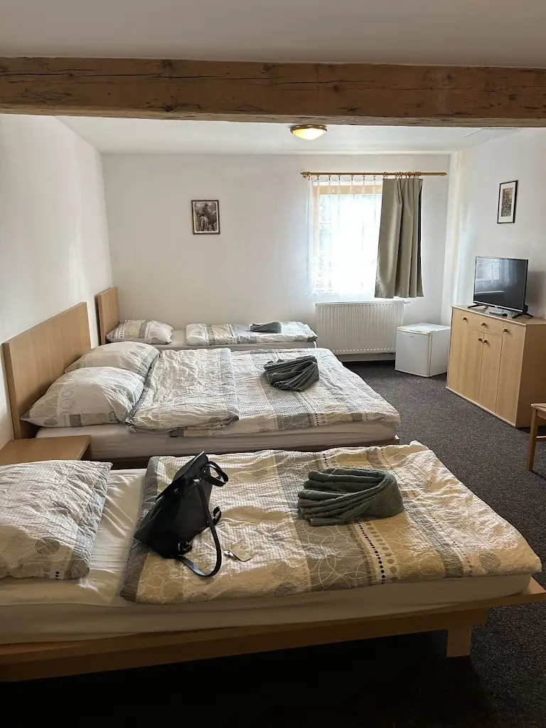 Guesthouse, restaurant - DANIELA_Horní Planá_slider_image_2