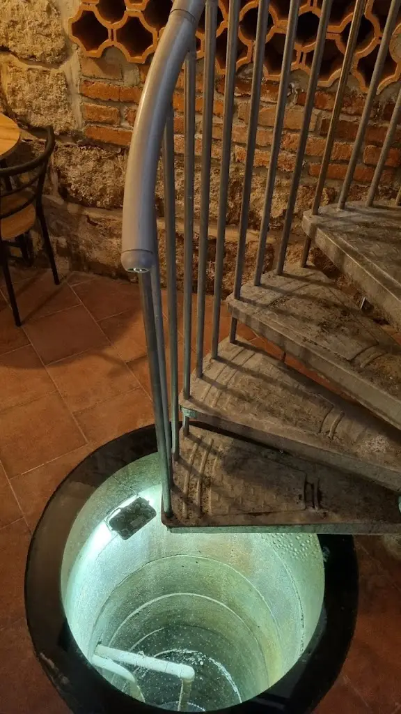 Jitka Olejníková_Df zahrada_Josefův Důl_review