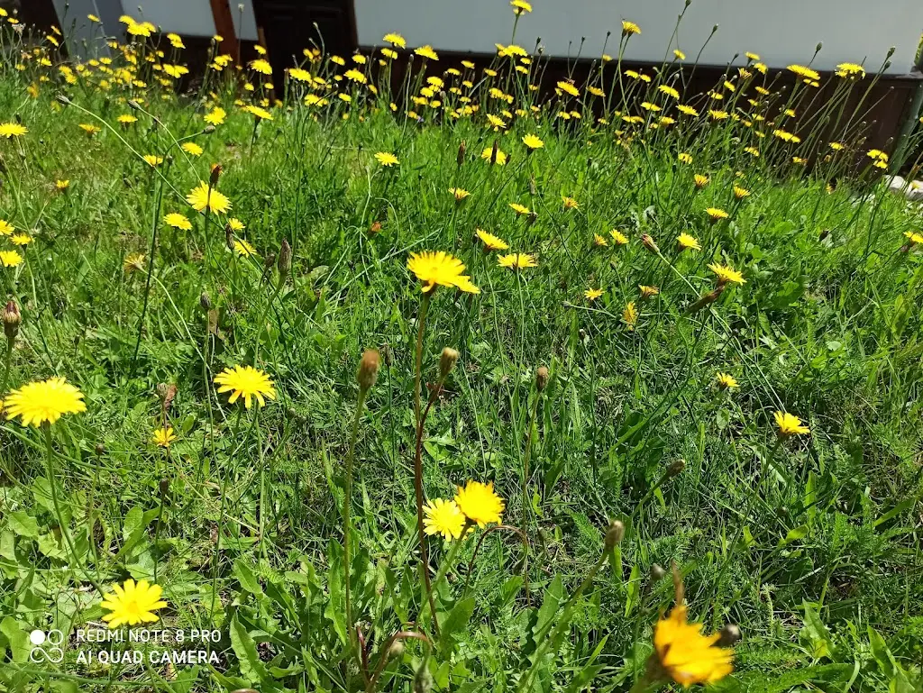 Massimo Bocconi_Hotel Peklo_Josefův Důl_review