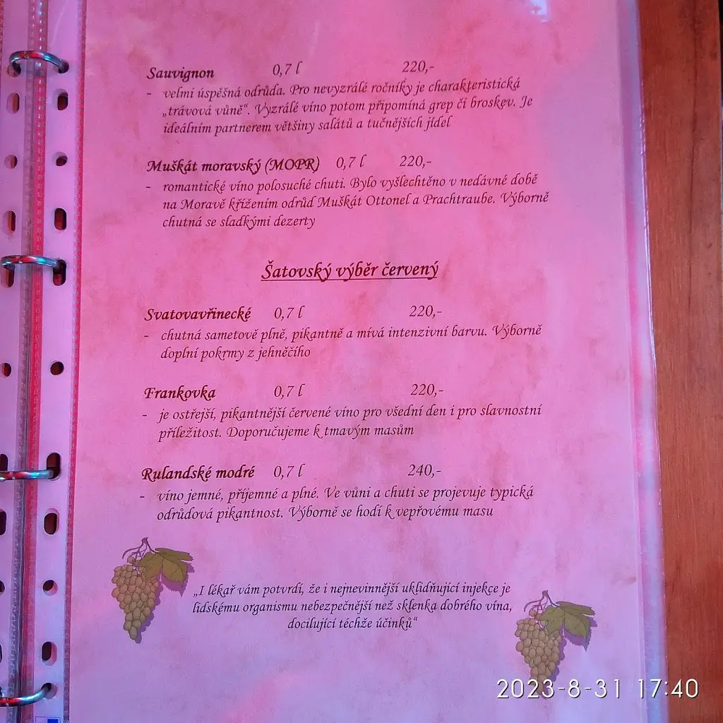 Menu_The Hot Stones Grill Restaurant_Jilemnice_immagine_4