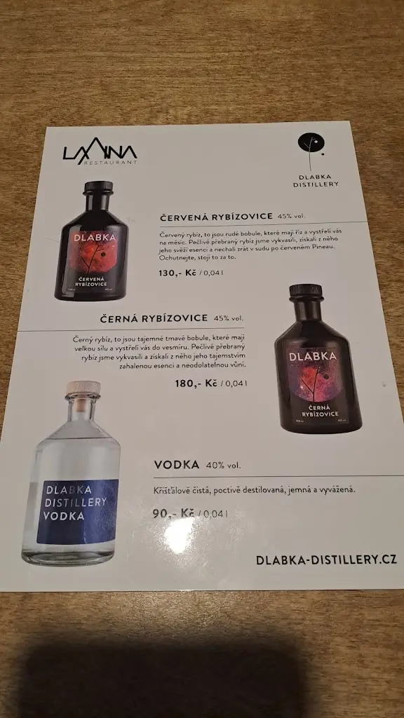 Menu_Lavina restaurant a hotel Na Staré poště_Jilemnice_image_2