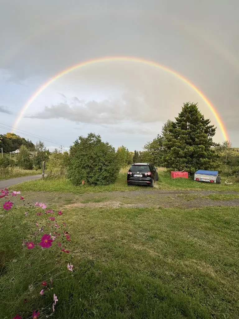 Tomáš Brandejský_Občerstvení U Pařezu_Lomnice nad Popelkou_review
