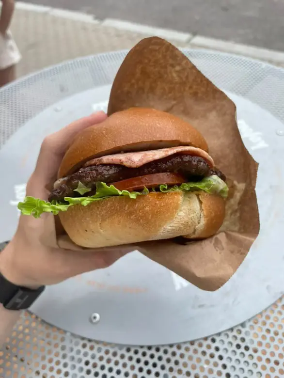 Václav Šimůnek_Busstop Burger_Lomnice nad Popelkou_review