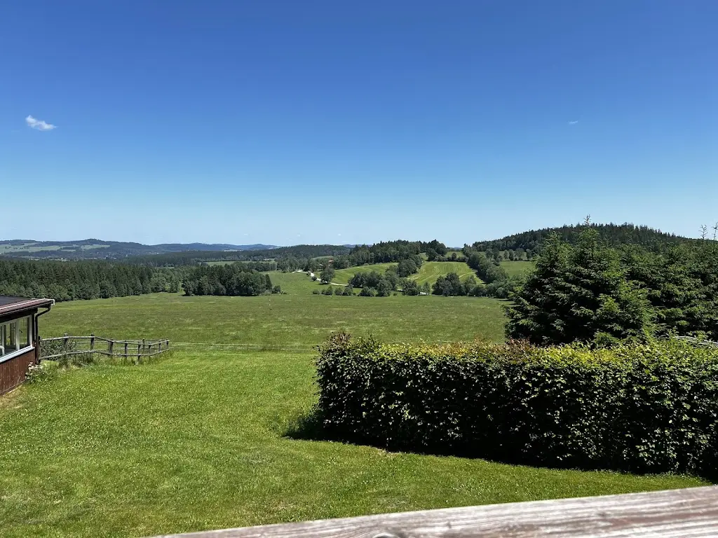 Marion_Karel Zoula_Horní Planá_review