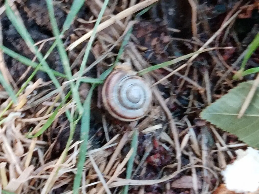 ZEMAN maso-uzeniny_Lomnice nad Popelkou_slider_image_3