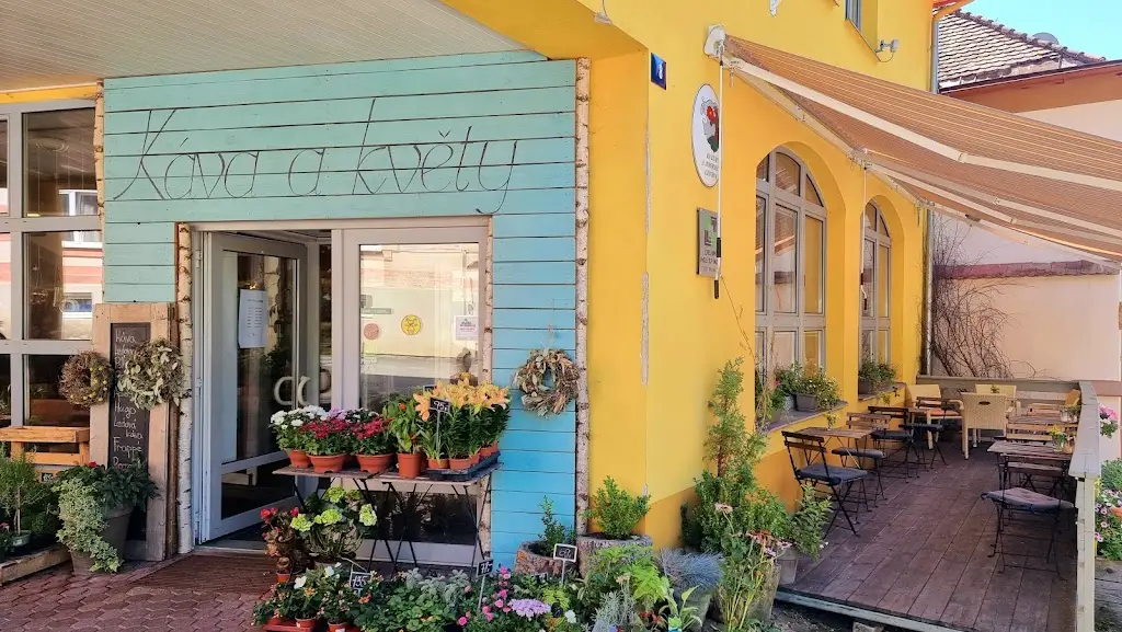 Cafe with three cats_Horní Planá_slider_image_1