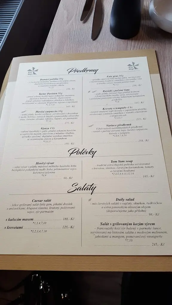 Menu_Restaurace a penzion Bílý Mlýn Liberec_Liberec_image_4