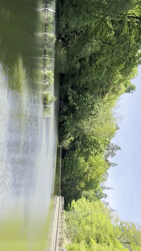 şebnem sözcü_Fisherman's Bastion_Liberec_recensione
