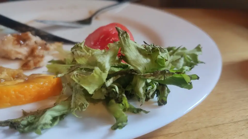 André_Penzion hospůdka U Rudolfa_Kořenov_review