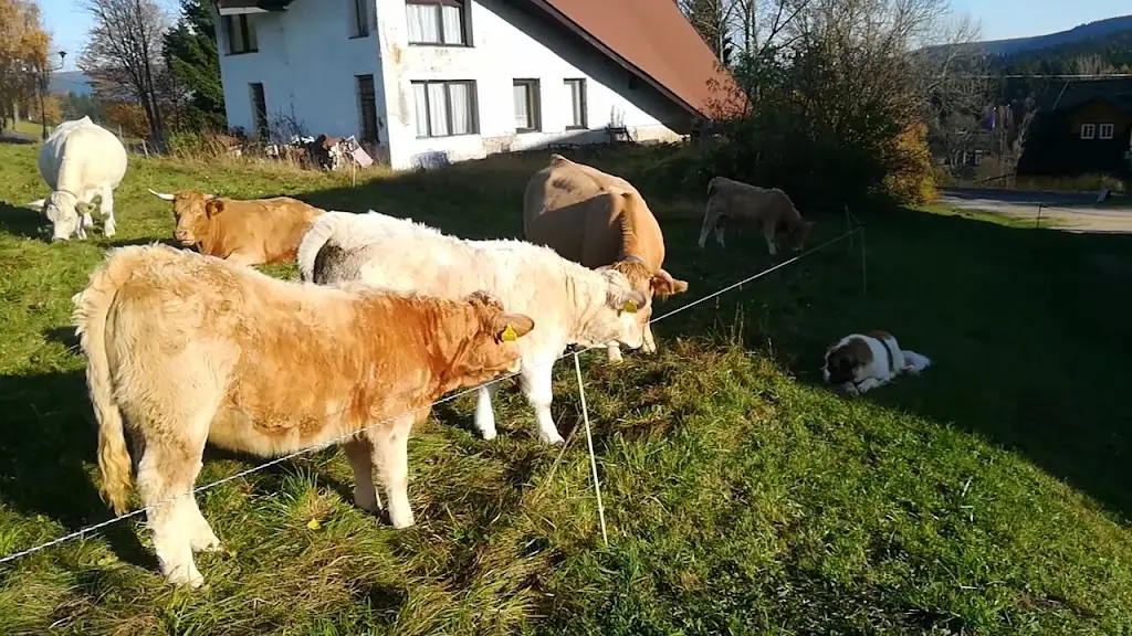 Pension Podkůvka-private accommodation_Kořenov_slider_image_2