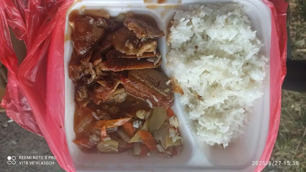 Vitr VeVlasech_Asia bistro_Mimoň_review