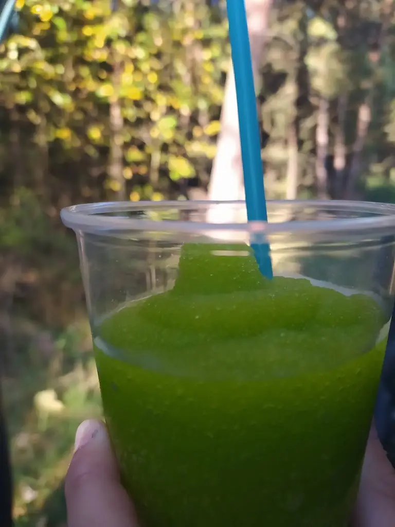 Monika D._Zmrzlina U Císařů_Mimoň_review