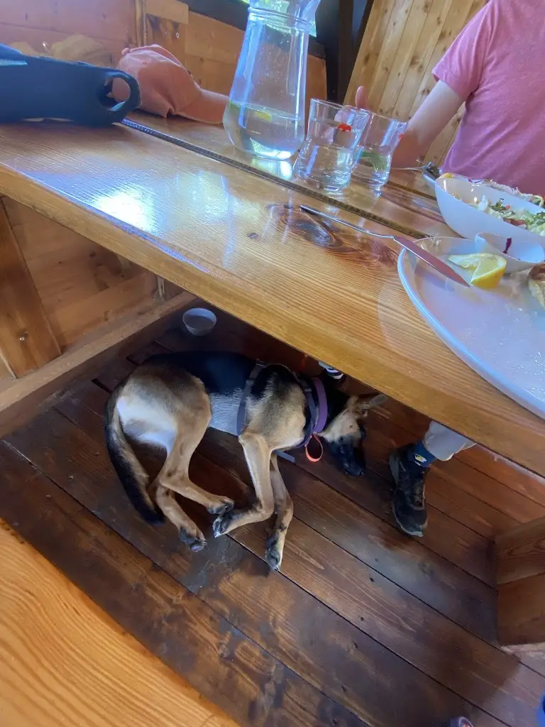 Alicja Łokuciejewska_Rybářská bašta_Horní Planá_recensione