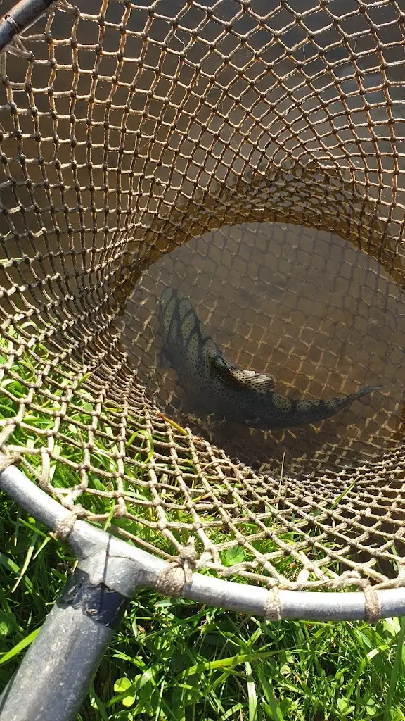 Aldo Bongers_Rybářská bašta_Horní Planá_recensione