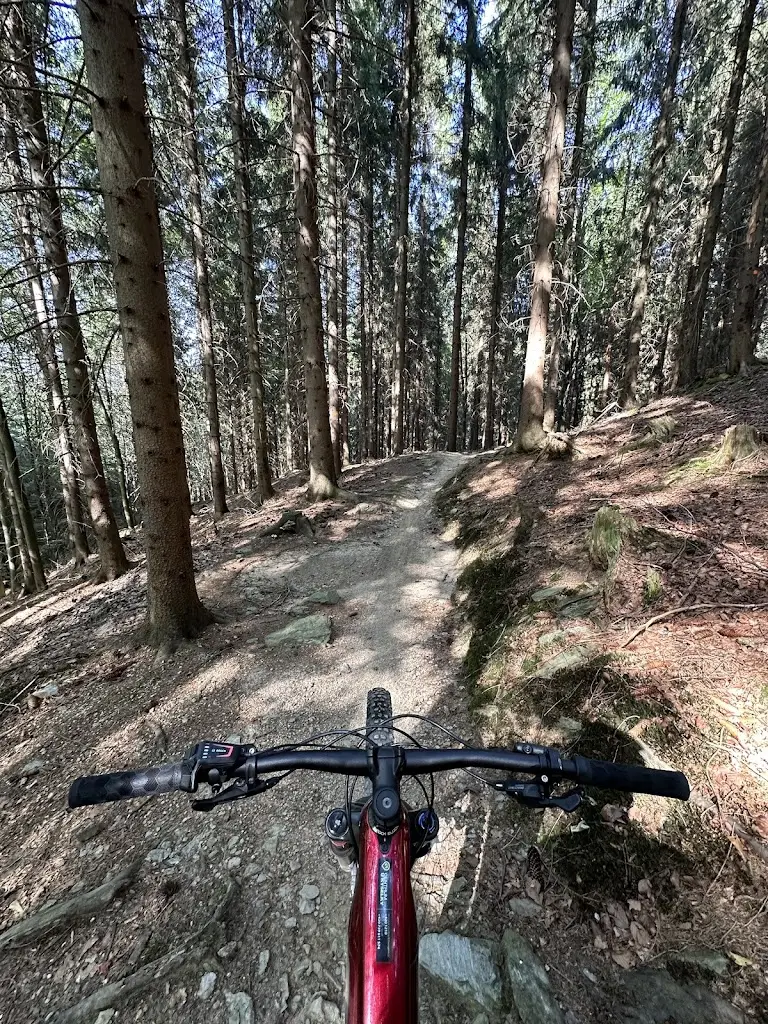 Agnė Musajevaitė_Centrum U Kyselky_Nové Město pod Smrkem_review