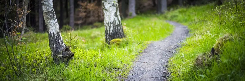 Singltrek pod Smrkem_Nové Město pod Smrkem_slider_image_3