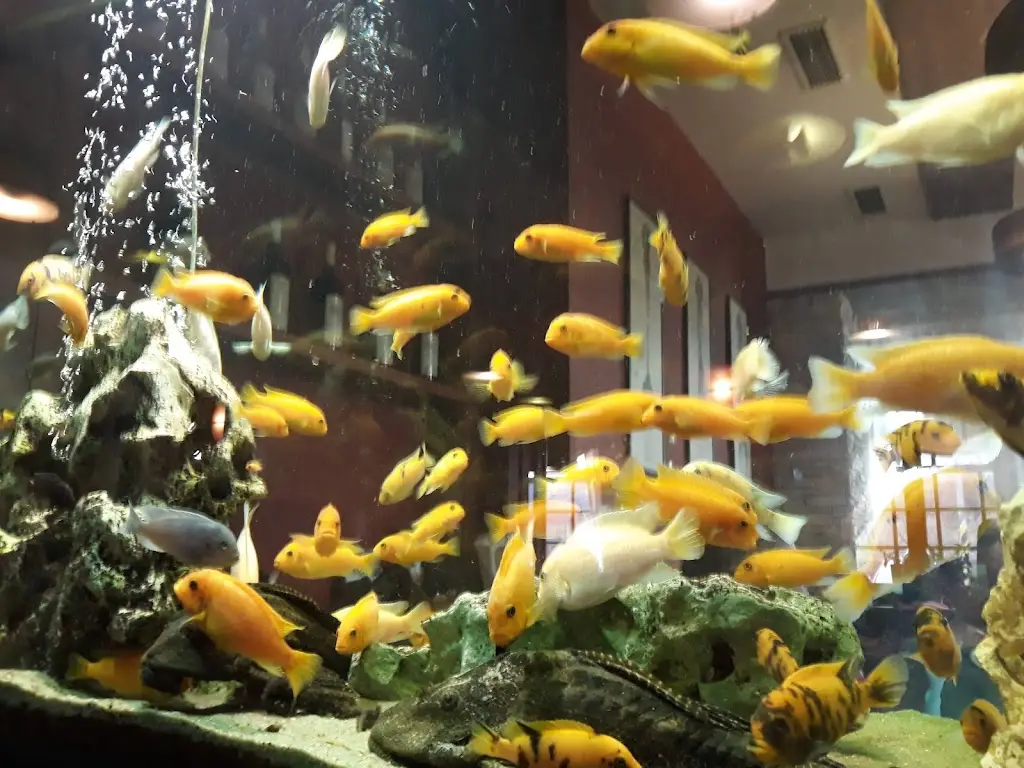 Menu_Marjána - Restaurace a Pension_Mníšek_immagine_5