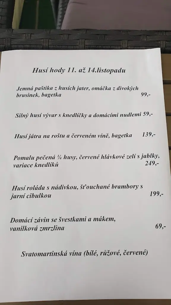 Menu_Restaurace Kamenný dům Liberec Letní terasa_Okres Liberec_immagine_2