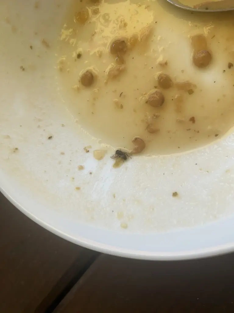 Gosia Szymczak_Hospůdka Olešnice_Ohrazenice_recensione