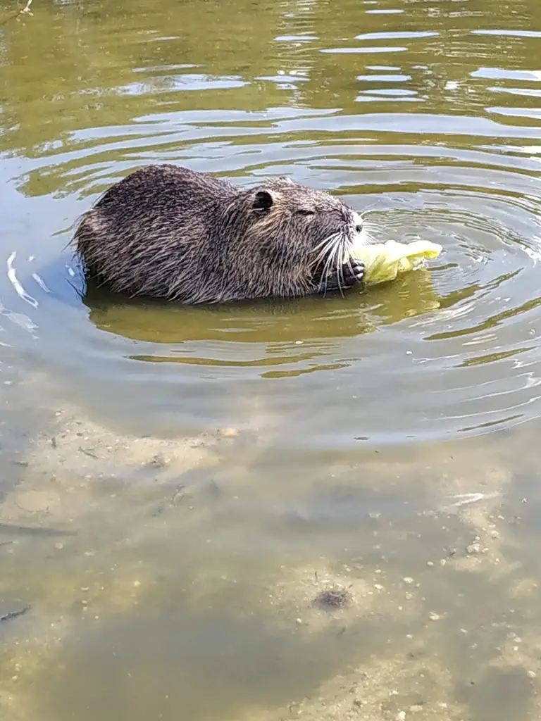 Lázeňská restaurace_Osečná_slider_image_3