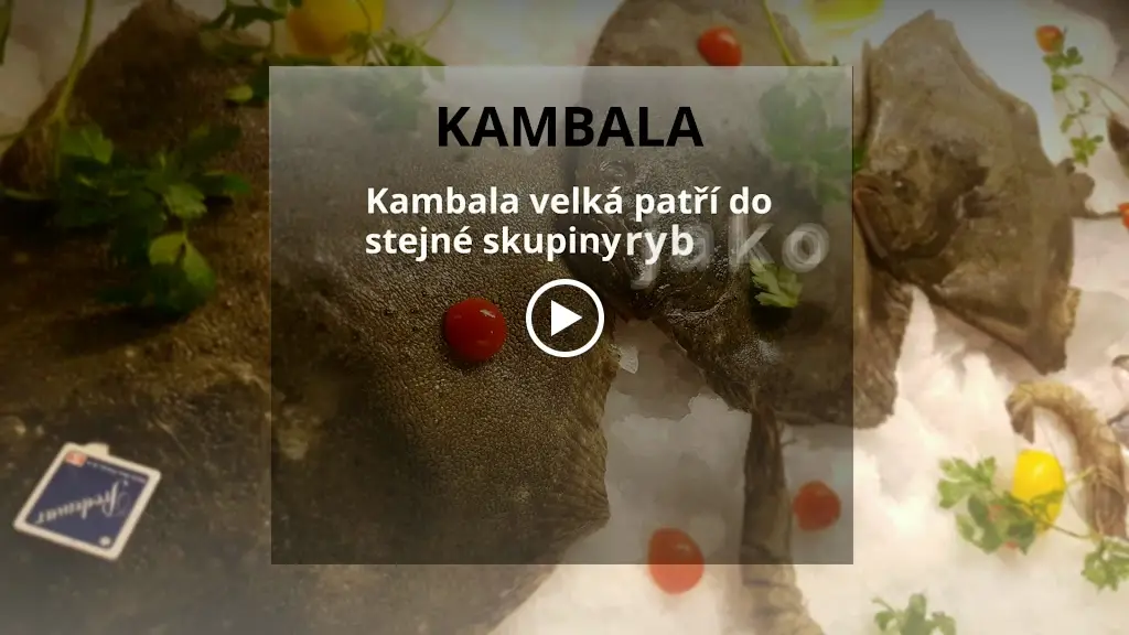 RESTAURACE ADRIA | Semily_Okres Semily_slider_image_2