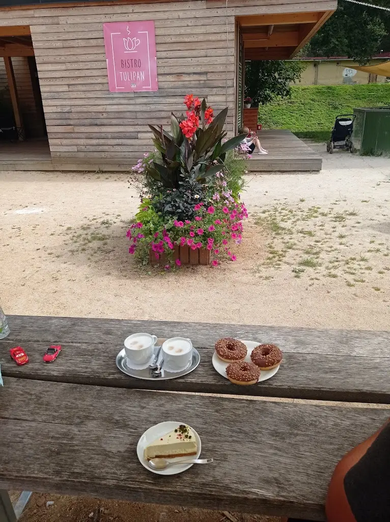 Andrea Lukašík Kušnirová_Bistro TULIPAN_Okres Semily_review