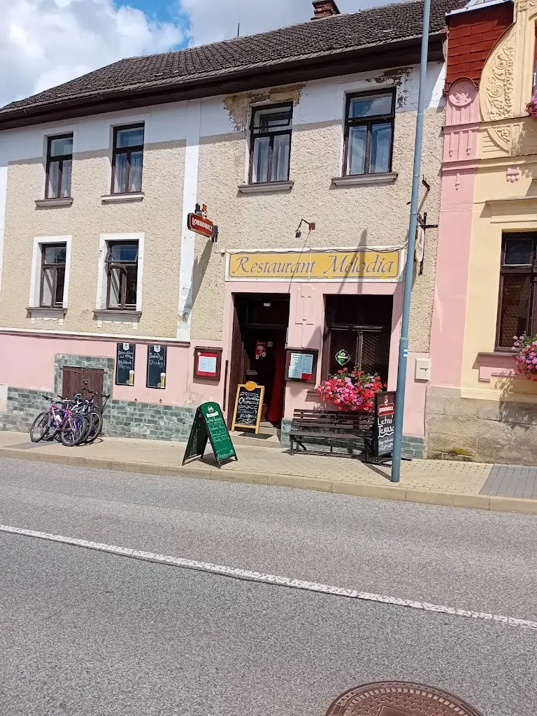 Ladislav Velda_Restaurant Melodia_Rovensko pod Troskami_review