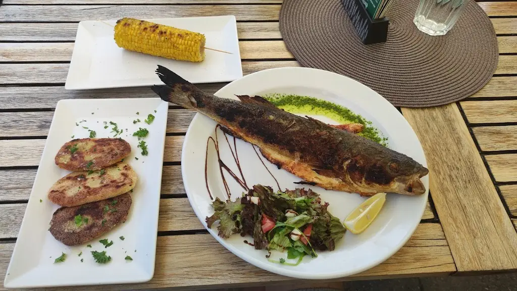 Jaroslav Picha_Restaurace U Koubusů_Příšovice_review