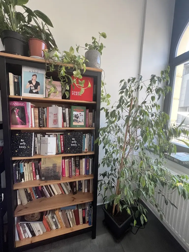 Dmitry Osipov_Kavárna Klid_Semily_review