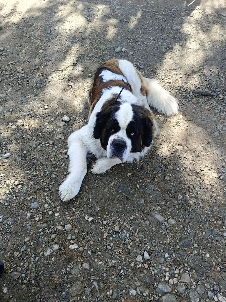 Martina Balatka_Občerstvení Studenov_Rokytnice nad Jizerou_review