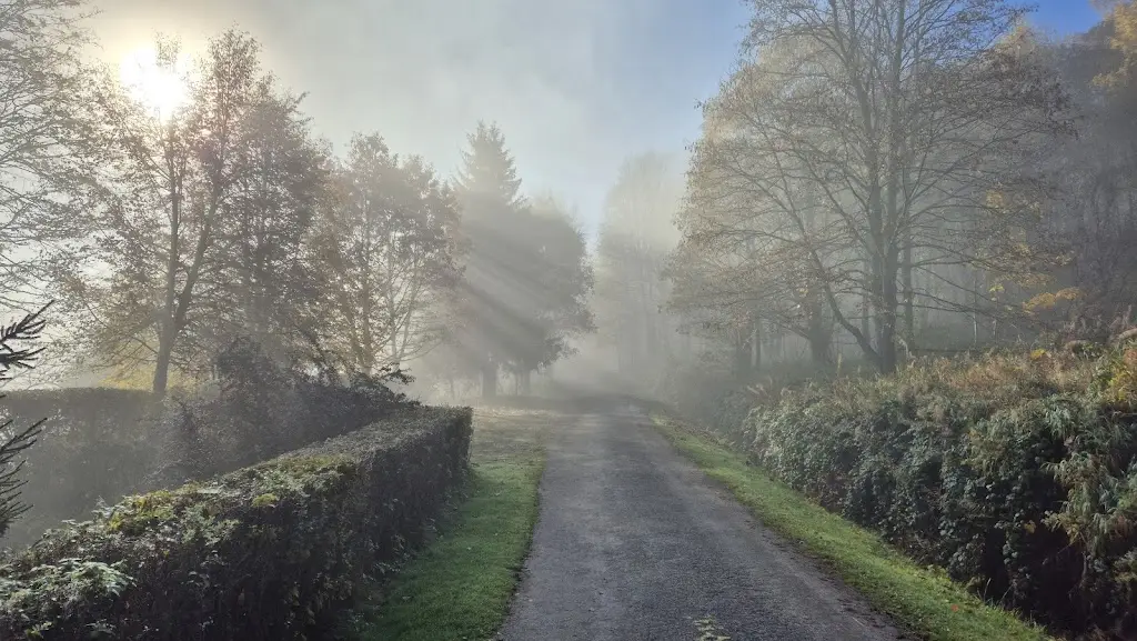 Martin Šrámek_Pension Marie_Horní Planá_review