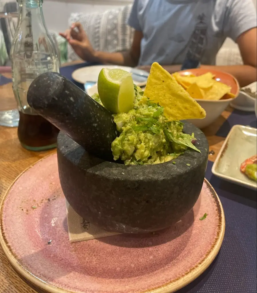 Devashish Pradhan_El Social_Studenec_review