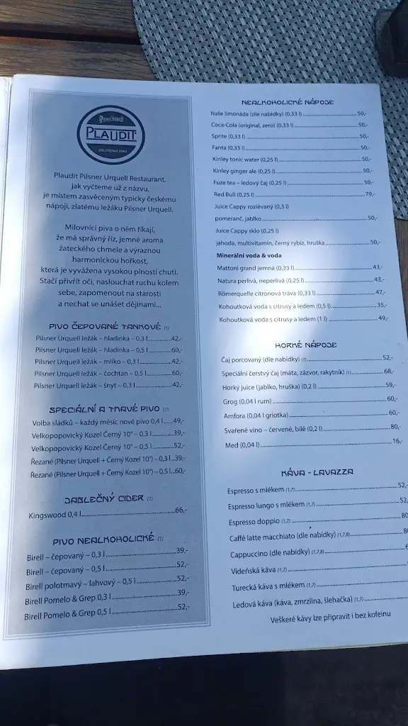 Menu_Pizzerie Restaurant Plaudit_Turnov_image_2