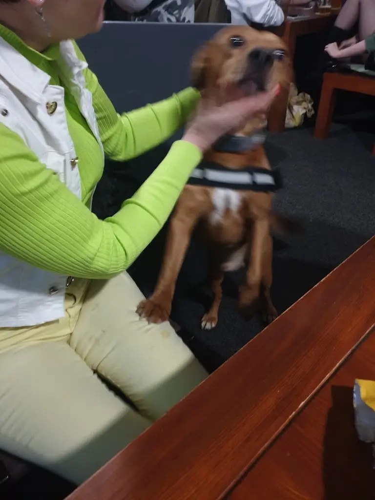 Ruda Dufek_Pivnice Starý Lázně_Velké Hamry_review