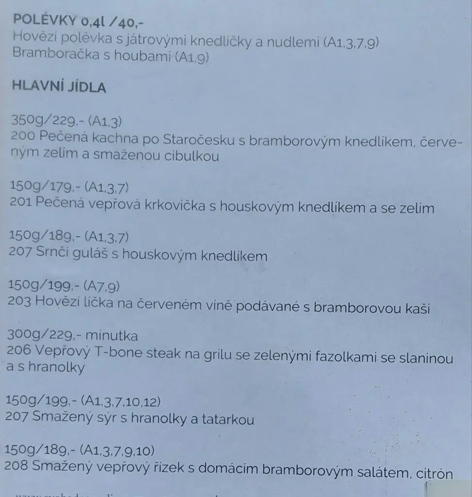 Menu_Restaurace U Medvěda_Vysoké nad Jizerou_image_2