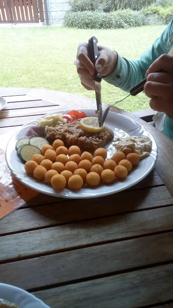 Jan Ektol_Restaurace a penzion Albína_Vysoké nad Jizerou_review