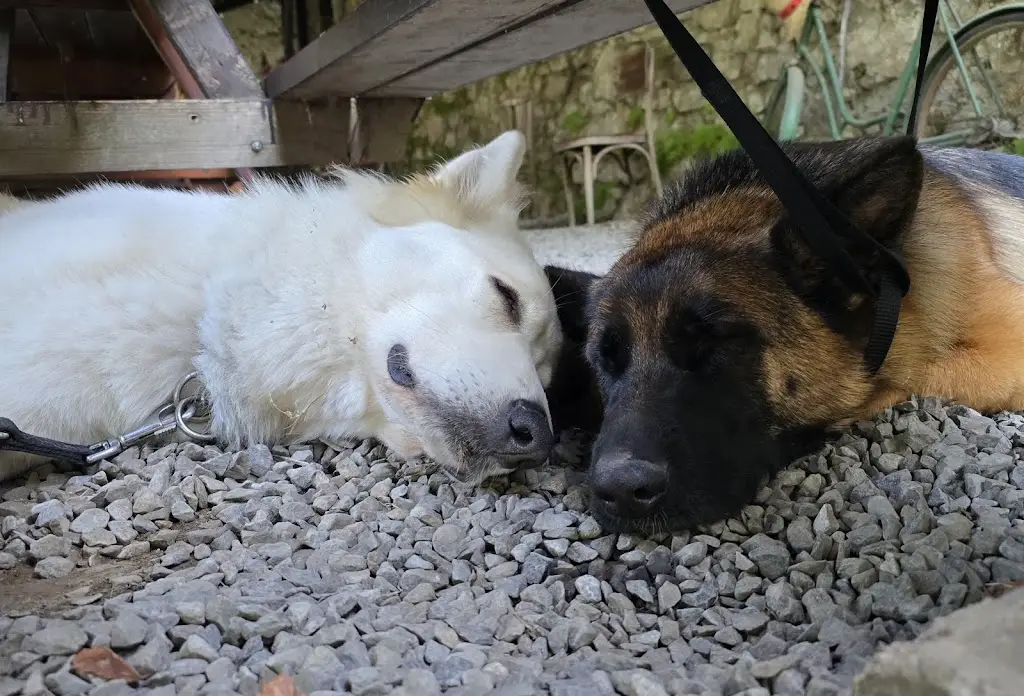 Alena Hájková_Hostinec a Penzion U Rezků_Jistebnice_review