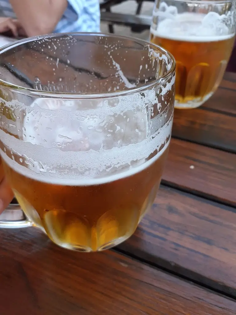 Menu_Pension a restaurace Sněženka_Tanvald_immagine_5