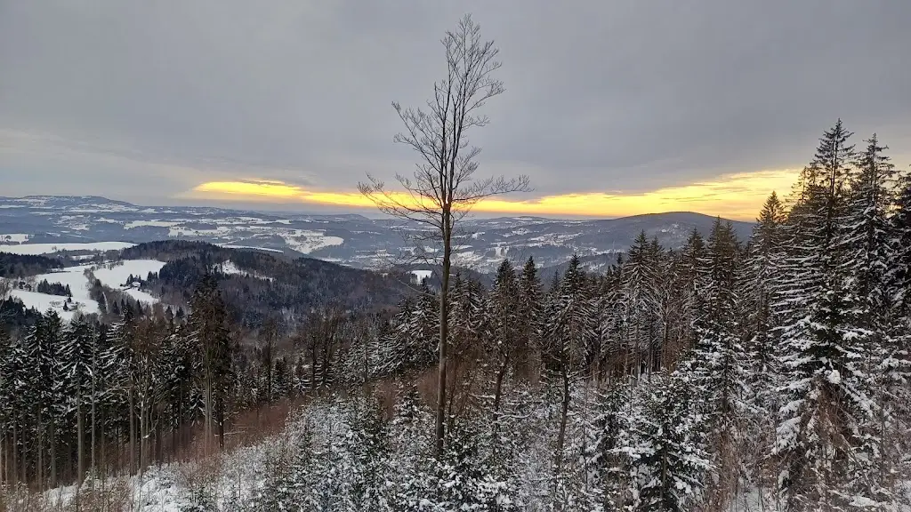 Radomil Holík_Restaurace Albrecht_Tanvald_recensione