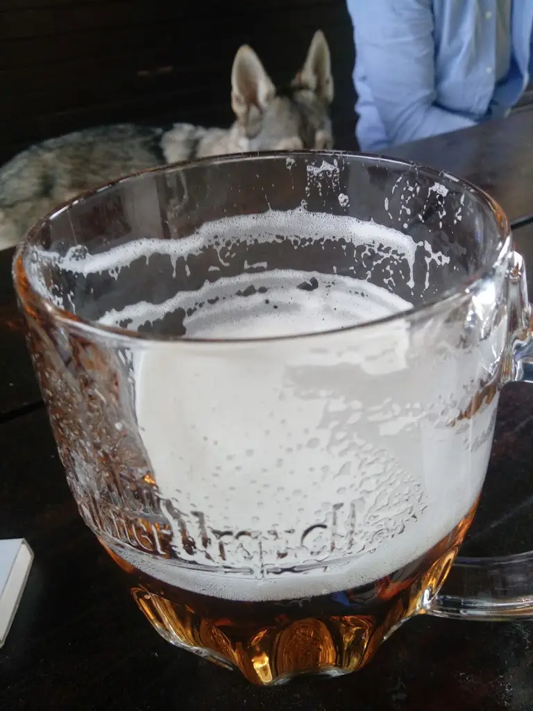 - BAJKUJEM -_Tenisové kurty - Kiosek_Železný Brod_review