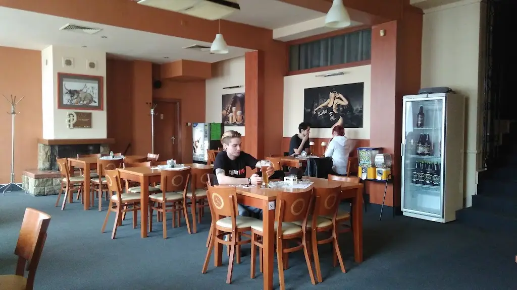 Restaurace U Holubů_Bílovec_slider_image_1