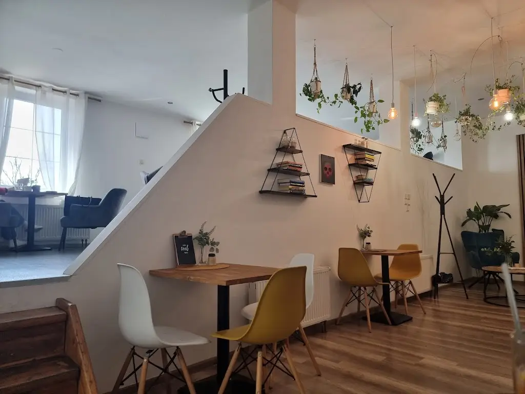 Vendy Marková_COOLNA | kavárna a čajovna_Bílovec_review