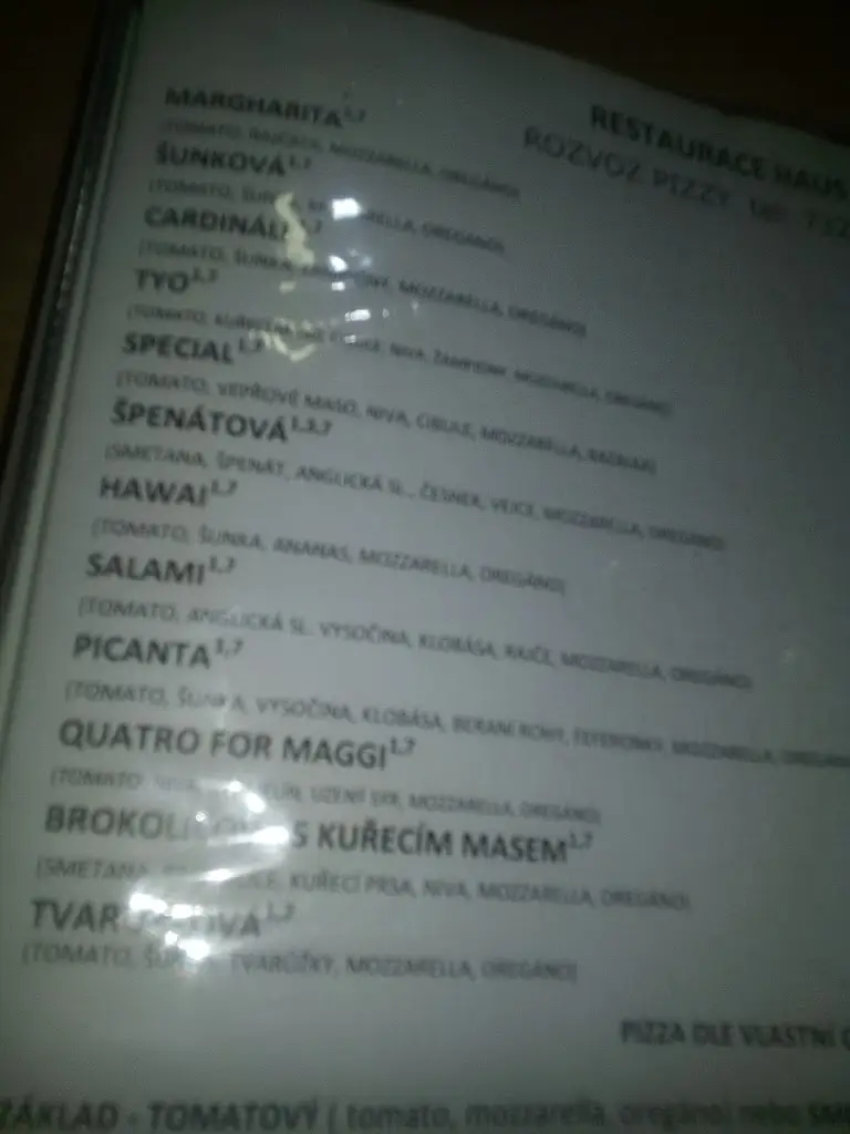 Menu_Restaurace HAUS_Bílovec_image_2