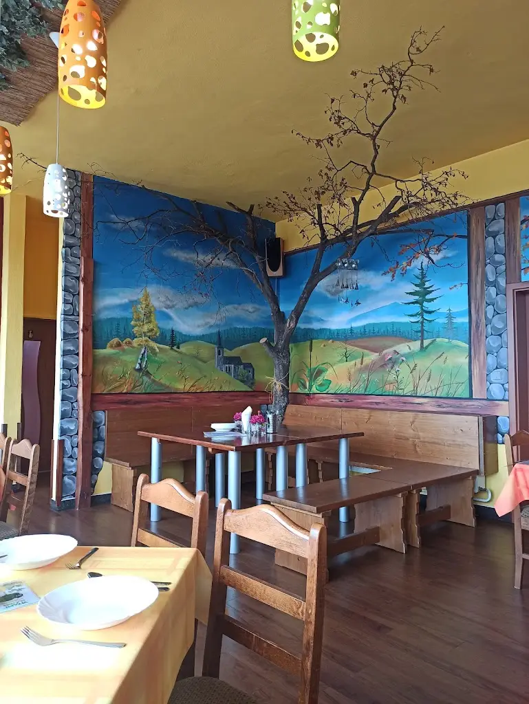 Jitka Vítková_MOTOREST R 11_Brumovice_review